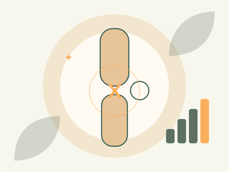Ilustração: reconstrução de LCA